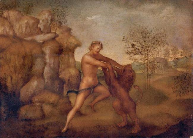 unknow artist Hercules and the Nemean Lion, oil on panel painting attributed to Jacopo Torni oil painting image